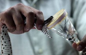 Snake farm Bankok
